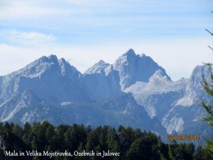 Mala in Velika Mojstrovka, Ozebnik in Jalovec