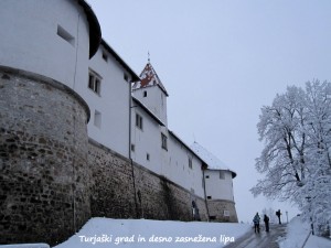 Turjaški grad in desno zasnežena lipa