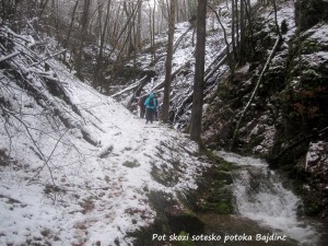 Pot skozi sotesko potoka Bajdinc