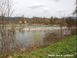 Sotočje Save in Ljubljanice