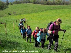 Kratek vzpon čez travnike do Lopatnika