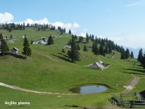 Gojška planina